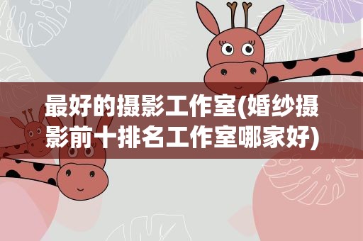 最好的摄影工作室(婚纱摄影前十排名工作室哪家好)