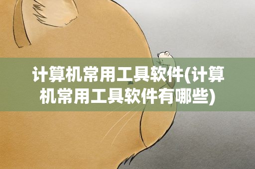 计算机常用工具软件(计算机常用工具软件有哪些)