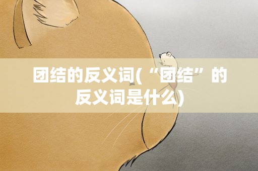 团结的反义词(“团结”的反义词是什么)