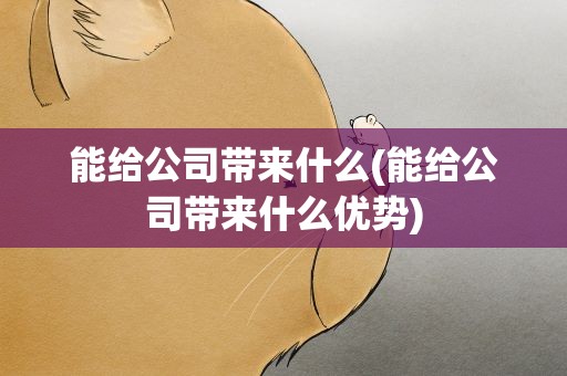 能给公司带来什么(能给公司带来什么优势)