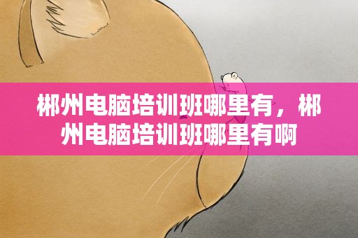 郴州电脑培训班哪里有，郴州电脑培训班哪里有啊