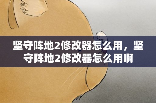 坚守阵地2修改器怎么用，坚守阵地2修改器怎么用啊