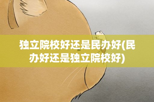独立院校好还是民办好(民办好还是独立院校好)