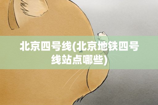北京四号线(北京地铁四号线站点哪些)