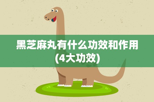 黑芝麻丸有什么功效和作用(4大功效)