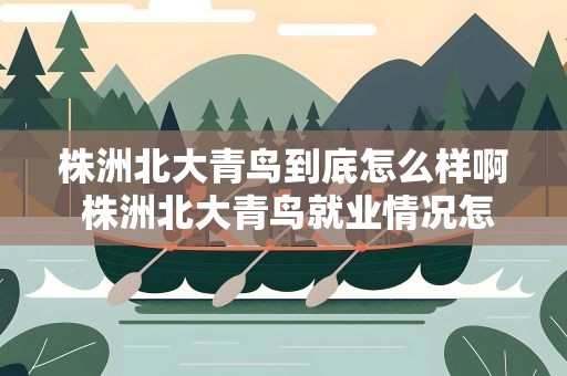 株洲北大青鸟到底怎么样啊 株洲北大青鸟就业情况怎么样