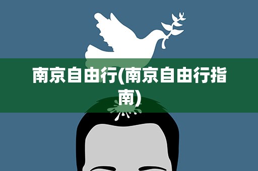 南京自由行(南京自由行指南)