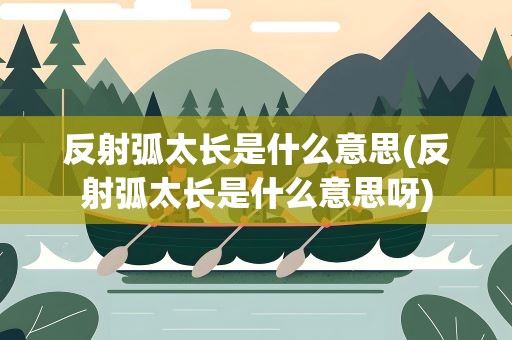 反射弧太长是什么意思(反射弧太长是什么意思呀)