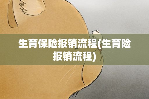 生育保险报销流程(生育险报销流程)
