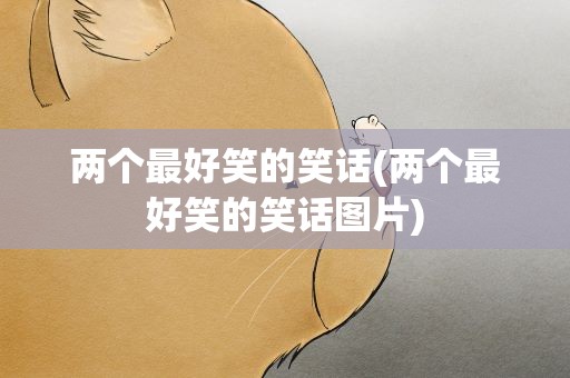两个最好笑的笑话(两个最好笑的笑话图片)