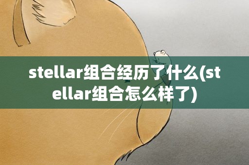 stellar组合经历了什么(stellar组合怎么样了)