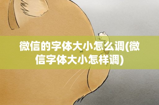 微信的字体大小怎么调(微信字体大小怎样调)