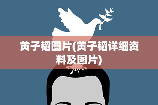 黄子韬图片(黄子韬详细资料及图片)