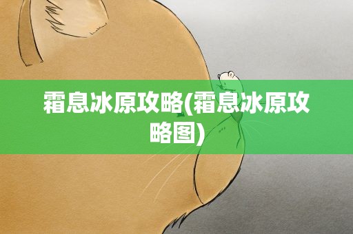 霜息冰原攻略(霜息冰原攻略图)
