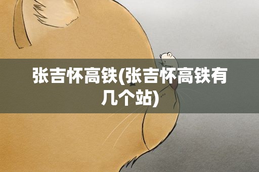 张吉怀高铁(张吉怀高铁有几个站)