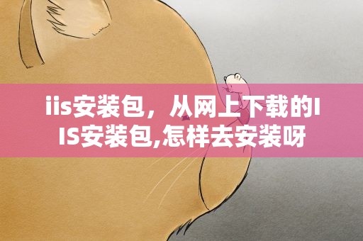 iis安装包，从网上下载的IIS安装包,怎样去安装呀