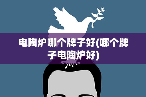 电陶炉哪个牌子好(哪个牌子电陶炉好)