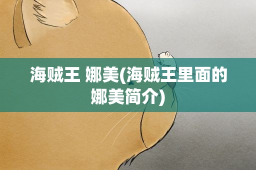 海贼王 娜美(海贼王里面的娜美简介)
