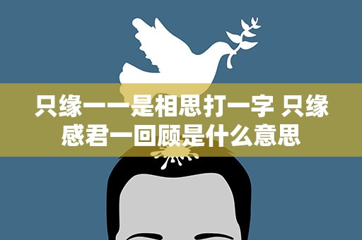 只缘一一是相思打一字 只缘感君一回顾是什么意思