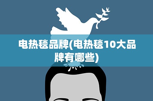 电热毯品牌(电热毯10大品牌有哪些)
