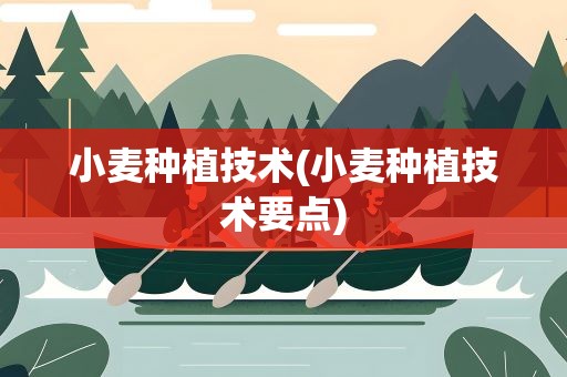小麦种植技术(小麦种植技术要点)