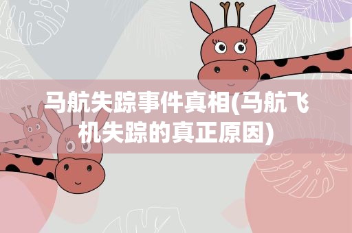 马航失踪事件真相(马航飞机失踪的真正原因)