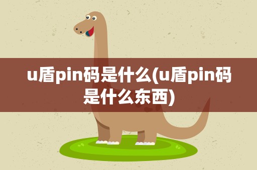 u盾pin码是什么(u盾pin码是什么东西)