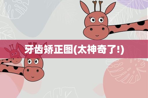 牙齿矫正图(太神奇了!)