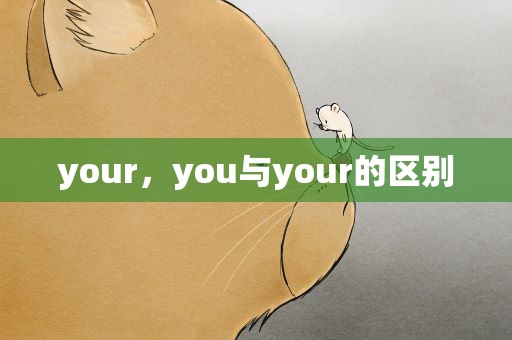 your，you与your的区别