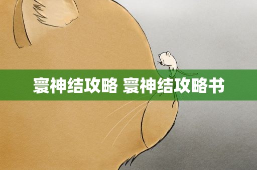 寰神结攻略 寰神结攻略书