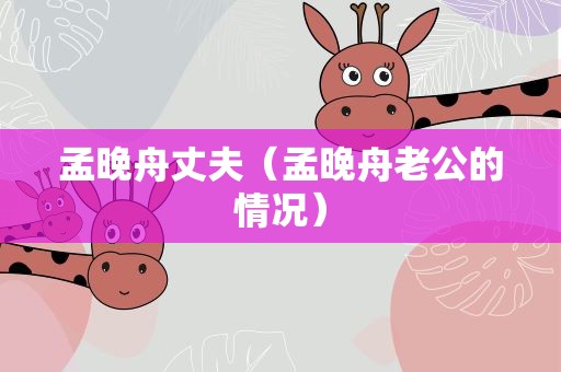 孟晚舟丈夫（孟晚舟老公的情况）