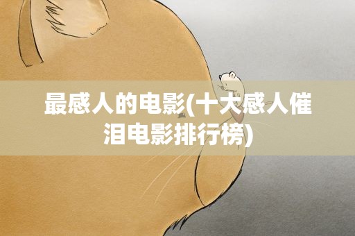最感人的电影(十大感人催泪电影排行榜)