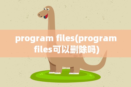 program files(program files可以删除吗)