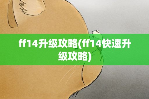 ff14升级攻略(ff14快速升级攻略)