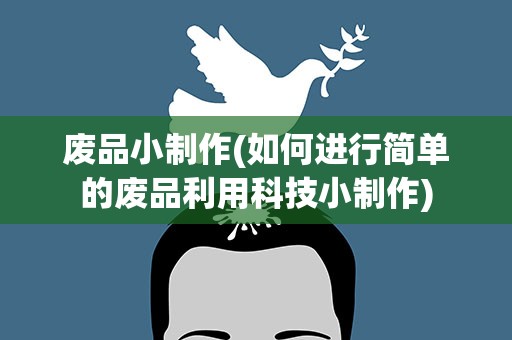 废品小制作(如何进行简单的废品利用科技小制作)