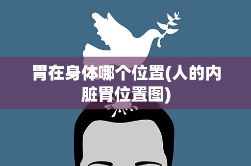 胃在身体哪个位置(人的内脏胃位置图)