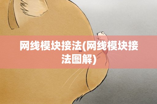网线模块接法(网线模块接法图解)