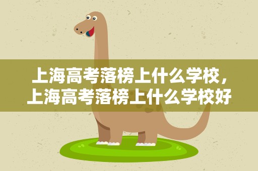 上海高考落榜上什么学校，上海高考落榜上什么学校好
