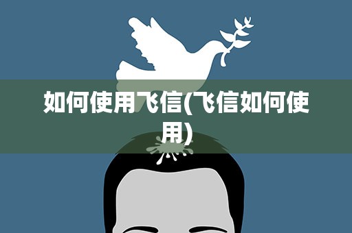 如何使用飞信(飞信如何使用)