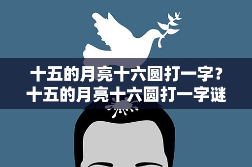 十五的月亮十六圆打一字？十五的月亮十六圆打一字谜