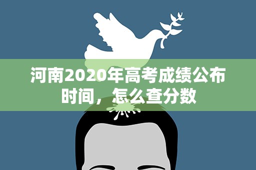 河南2020年高考成绩公布时间，怎么查分数