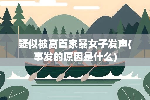 疑似被高管家暴女子发声(事发的原因是什么)