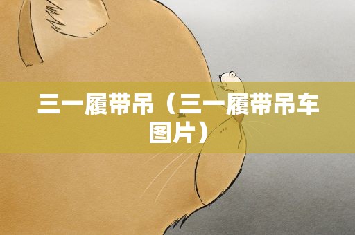 三一履带吊（三一履带吊车图片）