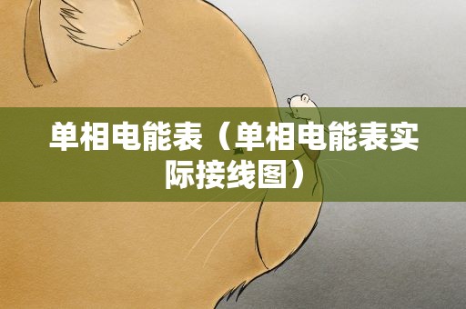 单相电能表（单相电能表实际接线图）