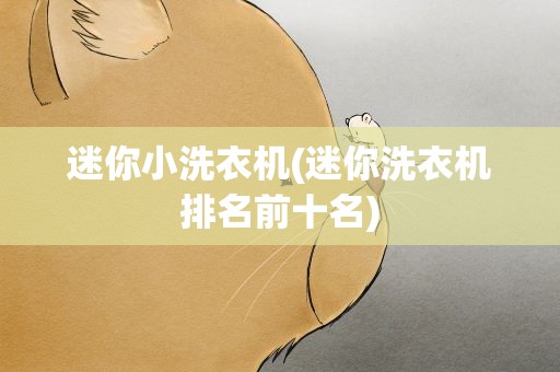 迷你小洗衣机(迷你洗衣机排名前十名)