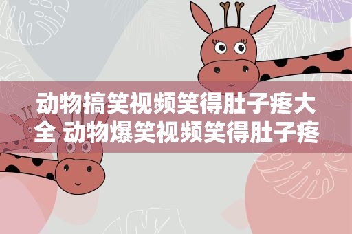 动物搞笑视频笑得肚子疼大全 动物爆笑视频笑得肚子疼