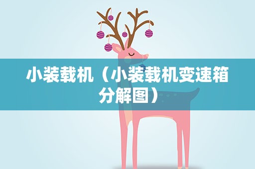 小装载机（小装载机变速箱分解图）