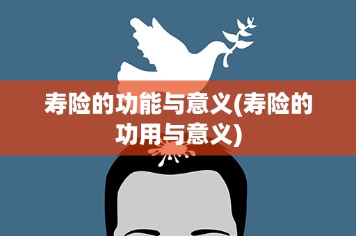 寿险的功能与意义(寿险的功用与意义)
