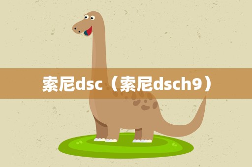 索尼dsc（索尼dsch9）