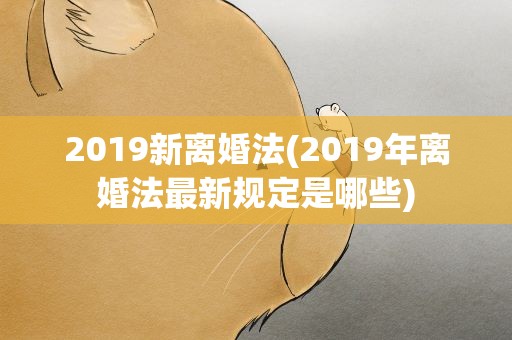 2019新离婚法(2019年离婚法最新规定是哪些)